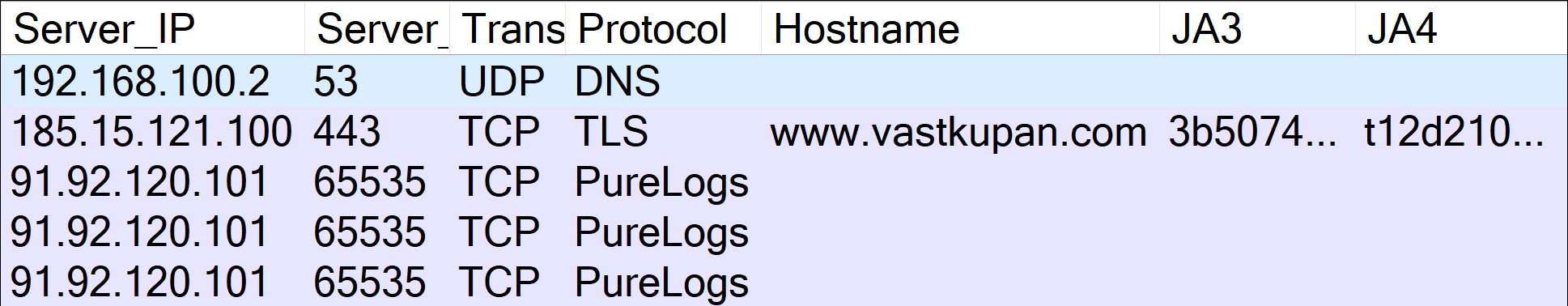 Flows from PureLogs infection in CapLoader