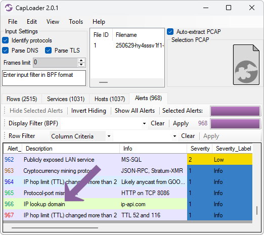 CapLoader showing Info-level alert for IP lookup using ip-api.com