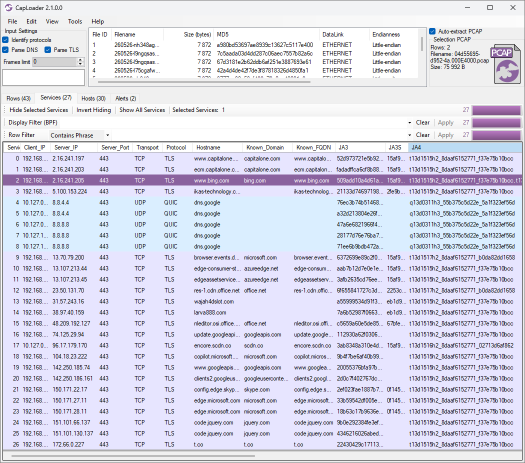 TLS and QUIC sessions in CapLoader 2.1.0.0