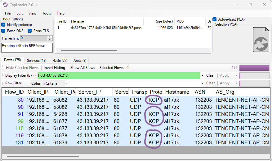 ValleyRAT UDP traffic identified as KCP by CapLoader