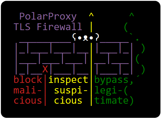 PolarProxy TLS Firewall - block malicious, inspect suspicious, bypass legitimate