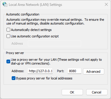 Windows LAN settings